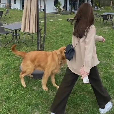 男人百分百
